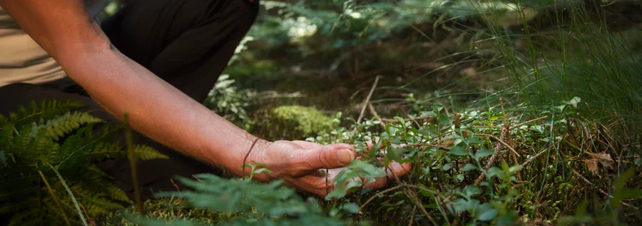 Зелена иднина: од градинка до училиште