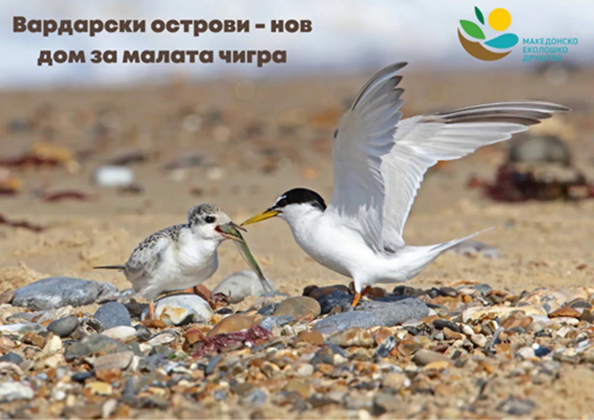 Иднина која инспирира