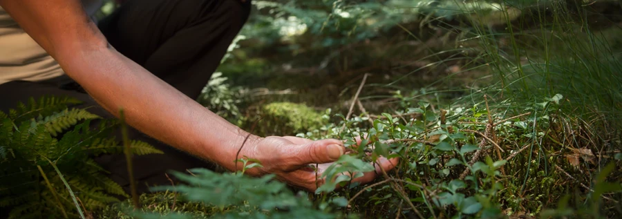 Иднина која инспирира